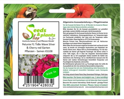 Produktbild von 6x Petunie F1 Tidle Wave Silver & Cherry red Garten Pflanzen - Samen KS108