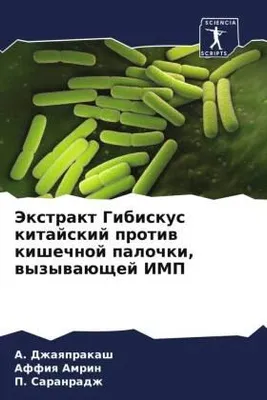 Produktbild von Jextrakt Gibiskus kitajskij protiw kishechnoj palochki, wyzywaüschej IMP