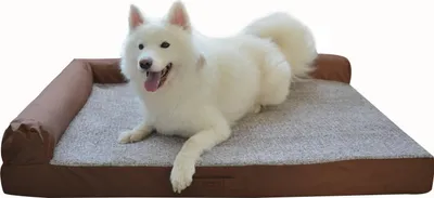 Immagine prodotto di Cuccia per cani Raikou, divanetto per cani, cuccia antiscivolo, marrone melange, dimensioni 100×80×9 cm