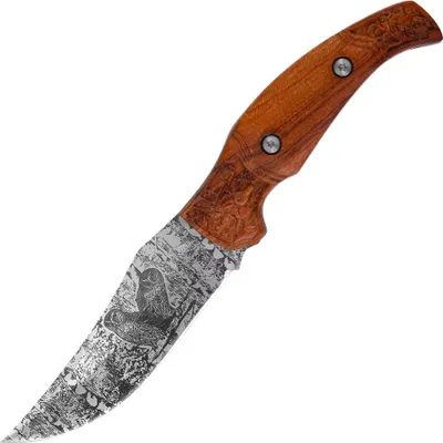 Immagine prodotto di Coltello da esterno CO-37280 KC3209 - Marrone / Gufi KP37280