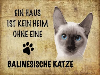 Produktbild von vianmo Holzschild 30x40 cm balinesische Katze