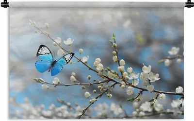 Produktbild von MuchoWow® Wandteppich Wandbehang Sakura - Schmetterling - Frühling 60x40 cm Tapisserie Dekoration Wandtuch - Wanddekorationen