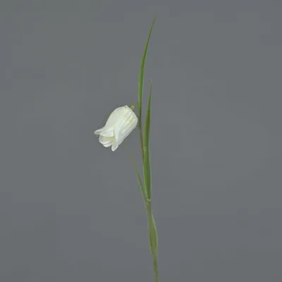 Produktbild von artplants.de Deko Blume Glockenblume LUXING, weiß, 40 cm - Künstliche Stielblume