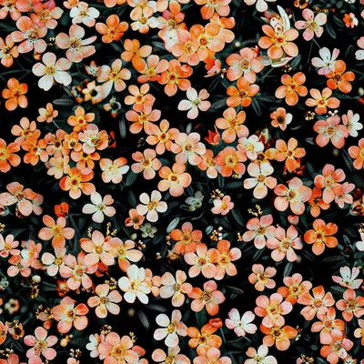 Obrázek produktu pro OUTDOOR DEKOSTOFFE OXFORD - Motiv Blumen I DX5205