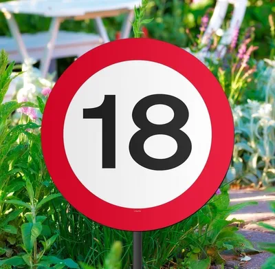 Gartenschild 18. Geburtstag, Verkehrsschild, 44x26 cm, Rot, Polyester