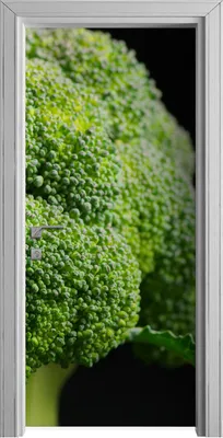 Produktbild von Tür Selbstklebende 90x210 cm Türfolie Türtapete Klebefolie - Gemüse Brokkoli