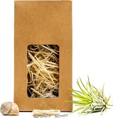 Obrázok produktu pre Gardners Šnek "Vyrob si sám" s Tillandsií ionantha green