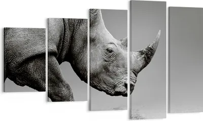 Produktbild von Bild auf Leinwand - Leinwandbild - 5 Teile - Nashorn Monochrom Tier - 100x60cm - Wand Bild - Wanddeko - Wandbilder - Leinwanddruck - Bilder - Wanddekoration - Leinwand bilder - EG100x60-4954