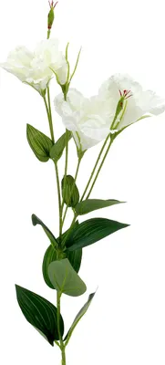 Produktbild von Dekorative Kunstblume Lysianthus für elegante Raumgestaltung