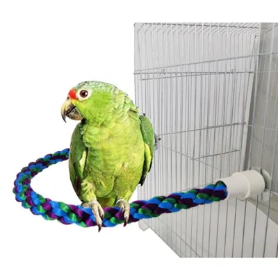 Immagine prodotto di ZIG ZAG - Toppa in cotone colorato taglia L/XL - per pappagalli grandi e medi