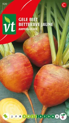 Image de Graines de betterave jaune Burpees Golden - Env. 2 gr | VT_920