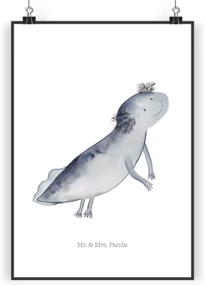 Produktbild von Mr. & Mrs. Panda Bild Axolotl Schwimmen DIN A4 - Weiß - Geschenk, Schwanzlurch, Plakat, Kunstdruck, Lurch, Optimistisch, Problem, Wandbild, Probleme, drucke, wanddeko