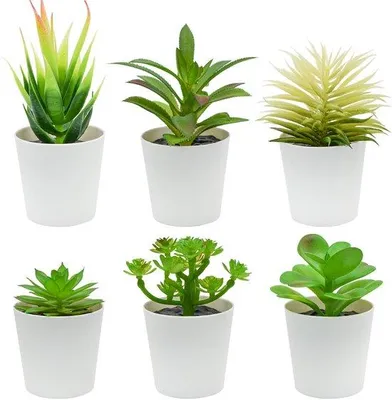 Image de Lot de 6 plantes artificielles vertes pour la chambre à coucher