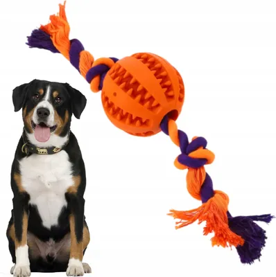 Produktbild von PETSTORY Robuster Leckerliball mit Zugseil für Hunde