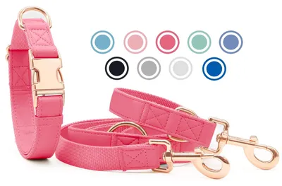 Image de Collier et laisse pour chien en cuir souple - Rose