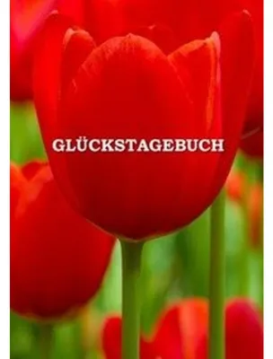 Produktbild von Glückstagebuch