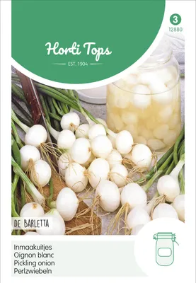 Produktbild von Zwiebeln Barletta | Zwiebelsamen von Hortitops