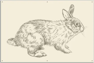 Produktbild von Wallario Outdoor-Poster für Garten oder Balkon, Motiv Hase als illustrierte Bleistiftzeichnung, in ca. 61 x 91,50 cm