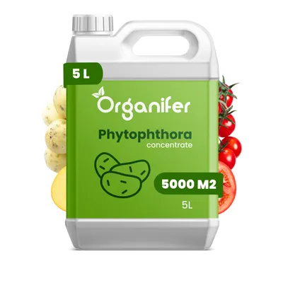 Zdjęcie produktu dla Koncentrat przeciwko Fytoftorze – 5 l na 5000 m2 - Organifer