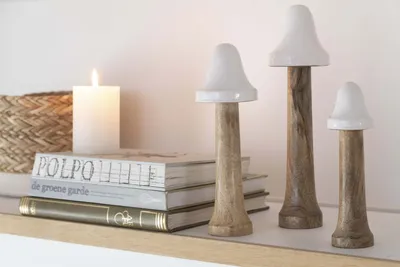 Produktbild von Set von 9 dünnen Holz-Pilzen in Naturweiß - Dekorative Akzente für Ihre Einrichtung