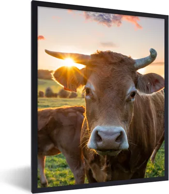 Produktbild von MuchoWow® Gerahmtes Poster Kühe - Sonne - Wiese - Landleben 60x80 cm - Poster mit Schwarzem Bilderrahmen Wandposter Rahmen Foto Bilder - Premium - Wanddeko Wohnzimmer