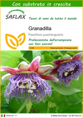 Immagine prodotto di SAFLAX  - Granadilla - 12 semi - Con substrato - Passiflora