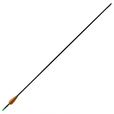 Immagine prodotto di Frecce Standard per Archi Ricurvi 12 pz 76,2/0,6 cm Fibra Vetro