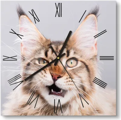 Produktbild von DEQORI Glasuhr 30x30 cm Römisch 'Maine Coon Katze faucht' Wanduhr Glas Uhr Design leise