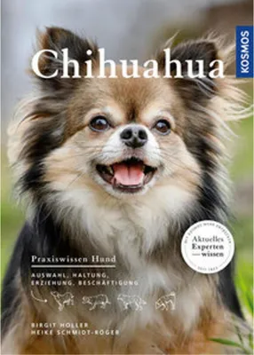 Image de Chihuahua