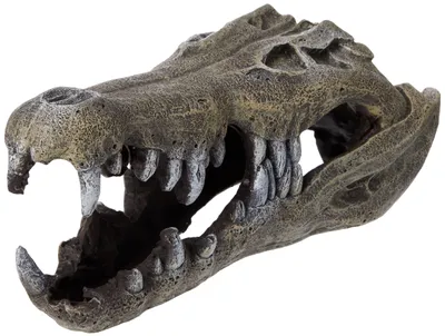 Immagine prodotto di Scheletto di coccodrillo decorativo per acquari