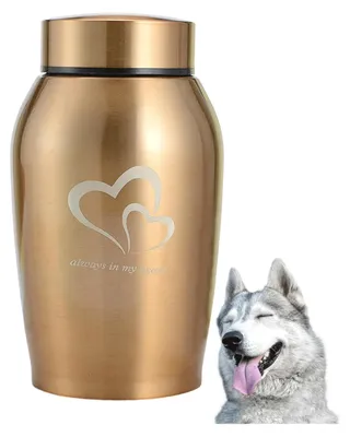 Immagine prodotto di Solidchoice - Mini urna per le ceneri di animali domestici