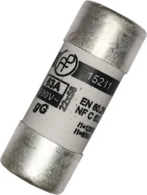 Image de 10 Fusible Mt2 80a 22,2x58mm
