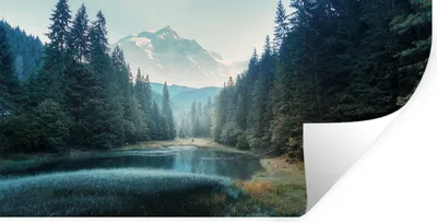 Produktbild von MuchoWow® Wandtattoo Wandsticker Wandaufkleber Wald - Gras - Berge - Bäume - Natur 120x60 cm Selbstklebend und Repositionierbar - Sticker - Dekorfolie