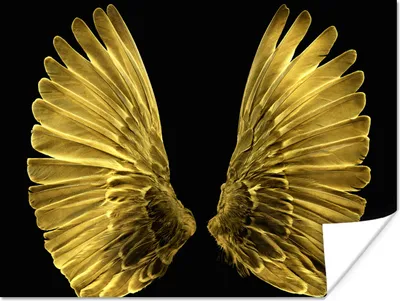 Produktbild von MuchoWow® Poster Goldene Flügel auf schwarzem Hintergrund 160x120 cm - Foto Plakat
