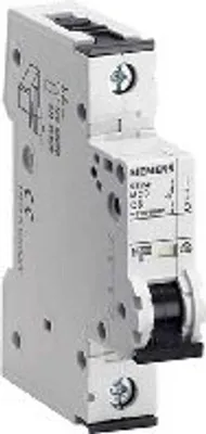 Obrázek produktu pro Siemens 5SY4102-8, IP20