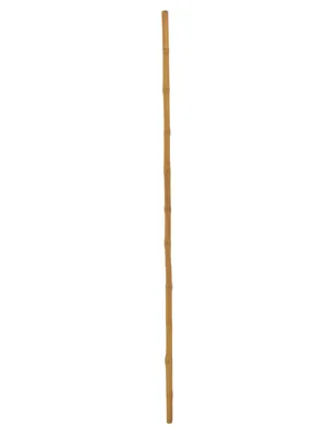 Produktbild von EUROPALMS Bambusrohr, Ø=3cm, 200cm (83313200)