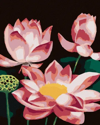 Image de Zuty - Peinture par numéros - NÉNUPHAR ROSE (MYROSLAVA VOLOSCHUK), 40 x 50 cm, sans cadre et sans toile tendue