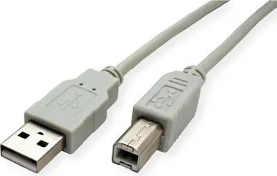 Immagine prodotto di Cavo USB 2.0 STANDARD, tipo A-B, beige, 4,5 m