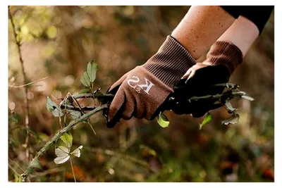 Produktbild von Gartenhandschuhe Sure & Grip, 1 Paar, Größe S