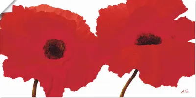 Produktbild von ARTland Poster Roter Mohn II Größe: 100x50 cm
