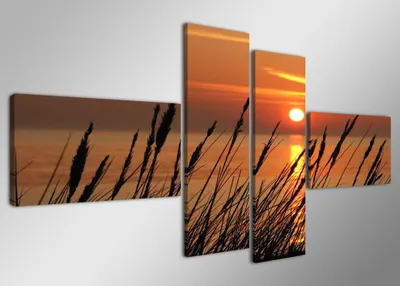 Obrázok produktu pre Obraz na plátne Trávy pri západe slnka 4-dielny 160x70 cm