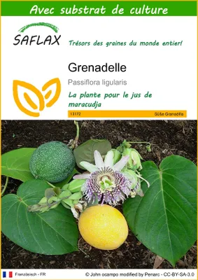 Image de SAFLAX  - Grenadelle - 20 graines - Avec substrat - Passiflora