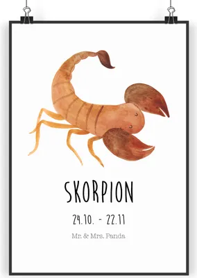 Produktbild von Mr. & Mrs. Panda Bild Sternzeichen Skorpion Classic DIN A4 - Weiß - Geschenk, November, Geburtstag, drucke, Oktober, wandkunst, Skorpione, Wandbild, wanddeko, Plakat