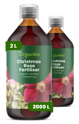 Zdjęcie produktu dla Ciemiernik Nawóz Płynny 2x1 L – 3-4-3 NPK – Do Kvitnúce Rośliny – Do Dlhotrvajúce Kwiaty i Silne Rośliny – Podporuje Korzenie i Vitalitu – Organifer