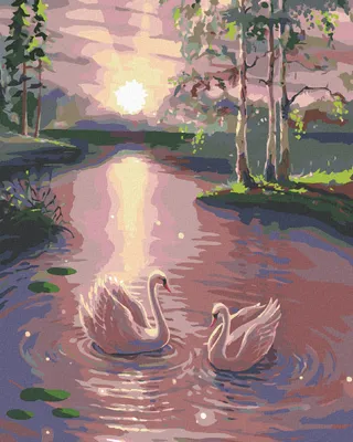 Immagine prodotto di Zuty - Pittura con diamanti - CIGNE SULL'ACQUA, 40x50 cm, tela tesa su telaio