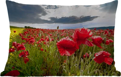 Produktbild von MuchoWow® Outdoor Kissen - Mohnblumen vor einem dramatischen, stürmischen Himmel - 60x40 cm - Wetterfest - Lounge Kissen - Zierkissen - Kissen für Innenräume