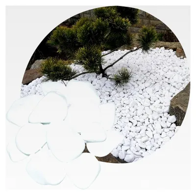 Produktbild von Weiße Kieselsteine 5 kg – Schneeweiße Dekosteine für Garten, Wege, Blumentöpfe und Innenräume – 2-4 cm