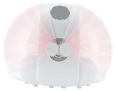 Immagine prodotto di Asciugatore pieghevole per animali domestici - Scatola di asciugatura automatica - Potenza 600W - Temperatura regolabile da 25 a 43°C - Circolazione dell'aria a 360° - Adatto per gatti e cani di piccola e media taglia - Colore: rosa