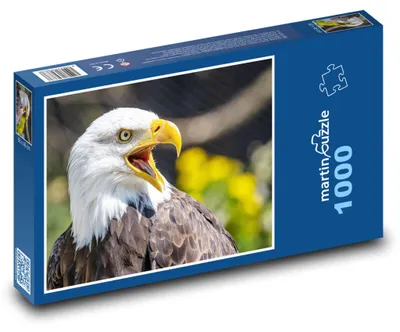 Zdjęcie produktu dla Puzzle 1000 Majestatyczny orzeł bielik - martinpuzzle