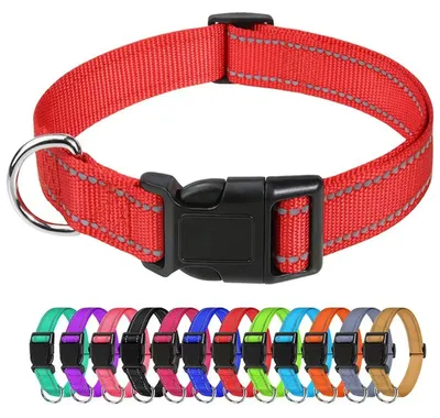 Productafbeelding van Verstelbare hondenhalsband van zacht nylon in rood (30-40 cm)